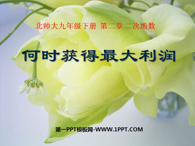 图片[1]-《何时获得最大利润》二次函数PPT课件3-第一PPT