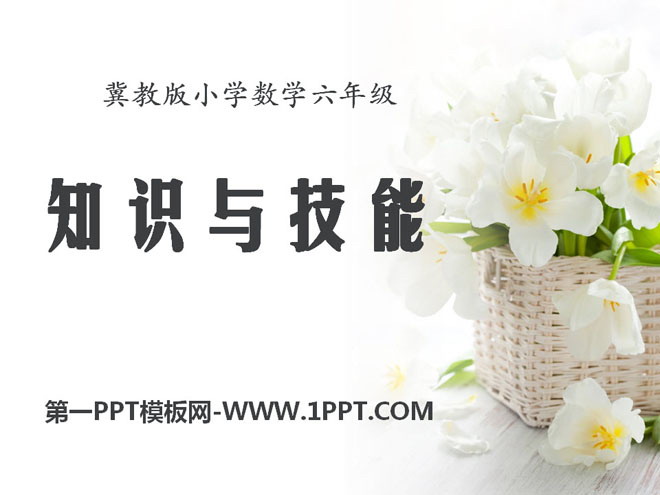图片[1]-《知识与技能》探索乐园PPT课件4-第一PPT