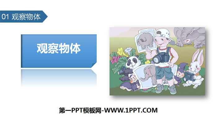 图片[1]-《观察物体》PPT教学课件-第一PPT