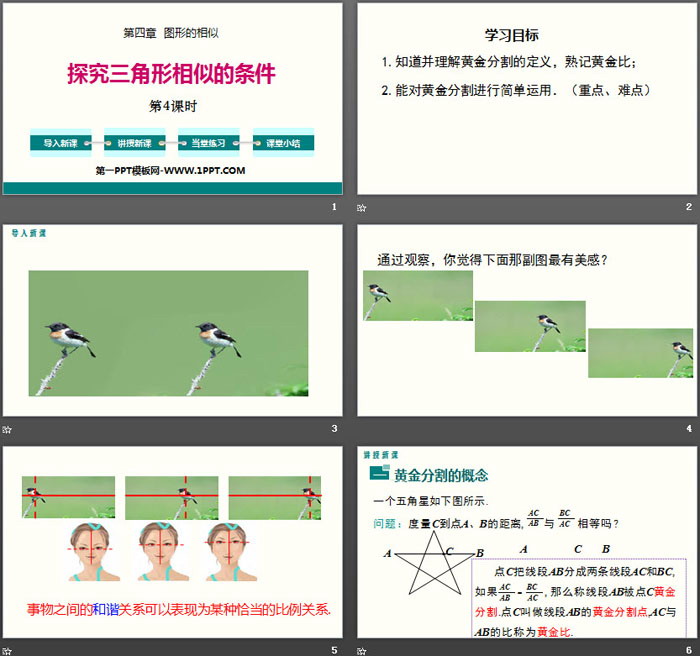 图片[2]-《探索三角形相似的条件》图形的相似PPT(第4课时)-第一PPT