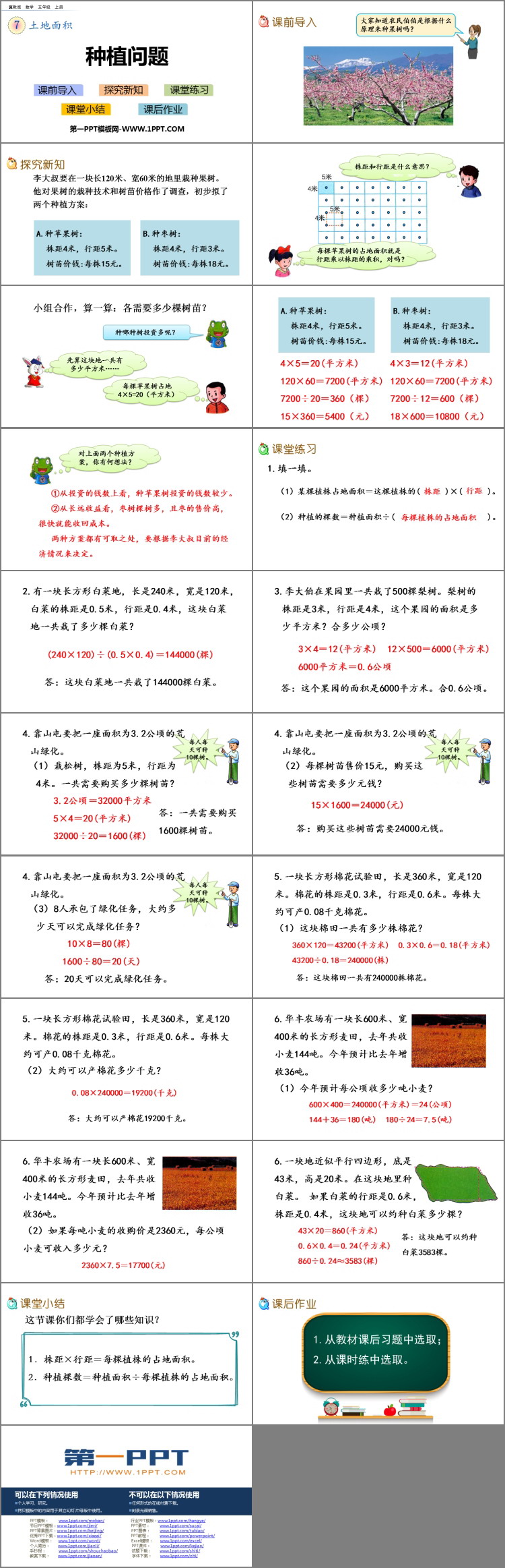 图片[2]-《种植问题》土地面积PPT教学课件-第一PPT