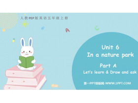 《In a nature park》PartA PPT教学课件(第2课时)-第一PPT