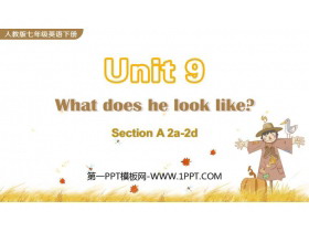 《What does he look like?》SectionA PPT课件下载(第2课时)-第一PPT