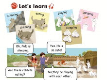 《Whose dog is it?》lets learn Flash动画课件-第一PPT