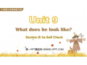 《What does he look like?》SectionB PPT课件下载(第3课时)-第一PPT