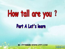 《How Tall Are You》第四课时PPT课件-第一PPT