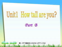 《How Tall Are You》第六课时PPT课件-第一PPT