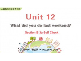 《What did you do last weekend?》SectionB PPT教学课件(第3课时)-第一PPT