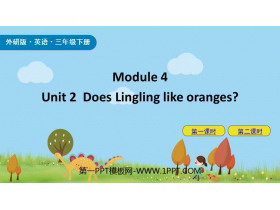 《Does Lingling like oranges?》PPT优秀课件-第一PPT
