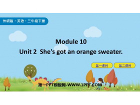 《She’s got an orange sweater》PPT教学课件下载-第一PPT