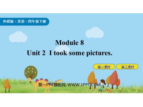 《I took some pictures》PPT优质课件-第一PPT