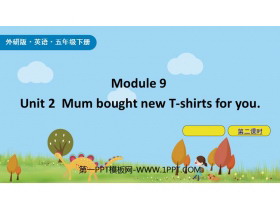 《Mum bought new T-shirts for you》PPT下载(第2课件)-第一PPT