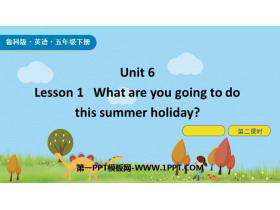《What are you going to do this summer holiday?》Plan for the Summer PPT课件(第2课时)-第一PPT