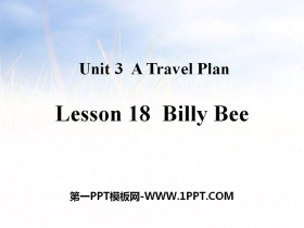 《Billy Bee》A Travel Plan PPT课件-第一PPT