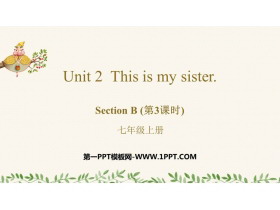 《This is my sister》SectionB PPT下载(第3课时)-第一PPT