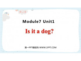 《Is it a dog?》PPT免费课件-第一PPT