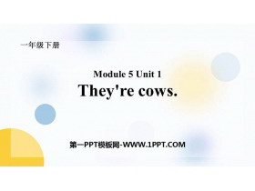 《They're cows》PPT教学课件-第一PPT