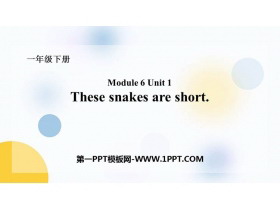 《These snakes are short》PPT免费课件-第一PPT