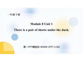 《There’s a pair of shorts under that duck》PPT课件下载-第一PPT
