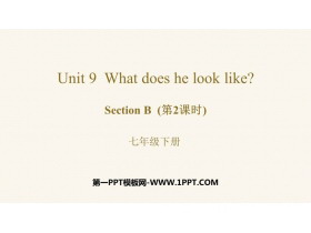 《What does he look like?》SectionB PPT教学课件(第2课时)-第一PPT
