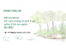 《I was trying to pick it up when it bite me again》Accidents PPT课件下载(第2课时)-第一PPT