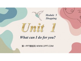 《What can I do for you?》Shopping PPT优秀课件-第一PPT