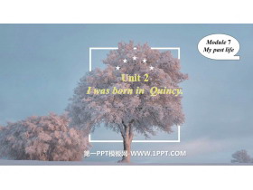 《I was born in Quincy》my past life PPT优质课件-第一PPT