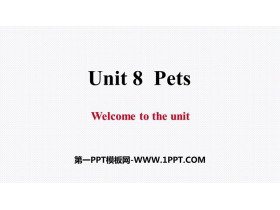 《Pets》PPT习题课件-第一PPT