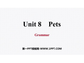 《Pets》Grammar PPT习题课件-第一PPT