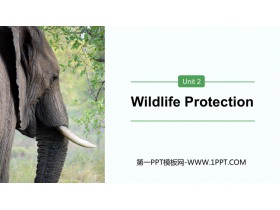 《Wildlife Protection》PPT下载-第一PPT
