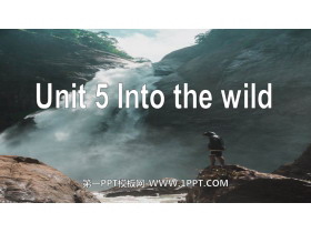 《Into the wild》PPT下载-第一PPT