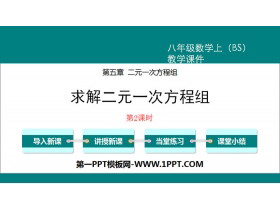 《求解二元一次方程组》二元一次方程组PPT(第2课时)-第一PPT