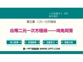 《应用二元一次方程组—鸡兔同笼》二元一次方程组PPT-第一PPT