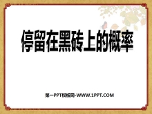《停留在黑砖上的概率》频率与概率PPT课件-第一PPT