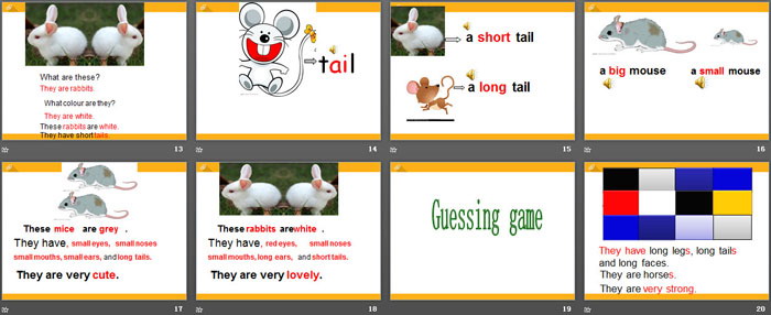 图片[3]-《Whose rabbits are these?》PPT课件-第一PPT