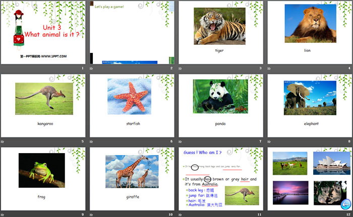 图片[2]-《What animal is it?》PPT-第一PPT