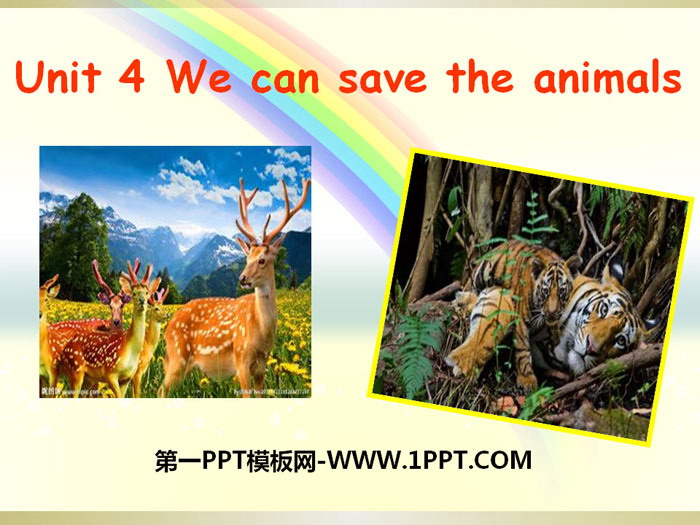 图片[1]-《We can save the animals》PPT课件-第一PPT