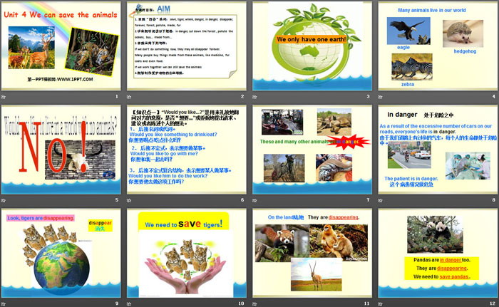 图片[2]-《We can save the animals》PPT课件-第一PPT