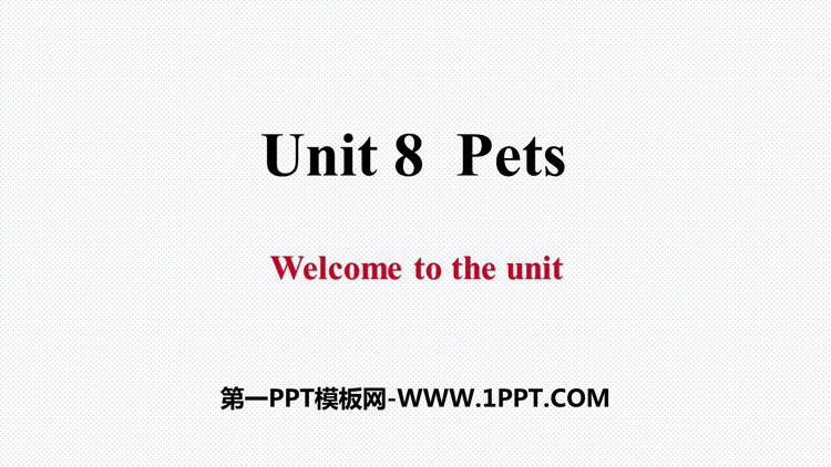 图片[1]-《Pets》PPT习题课件-第一PPT