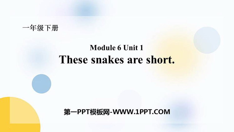 图片[1]-《These snakes are short》PPT免费课件-第一PPT