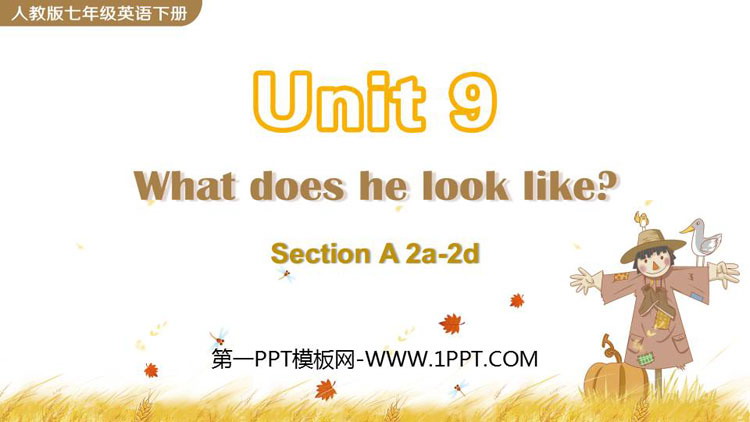 图片[1]-《What does he look like?》SectionA PPT课件下载(第2课时)-第一PPT