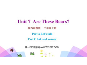 《Are These Bears?》PPT课件(第2课时)-第一PPT
