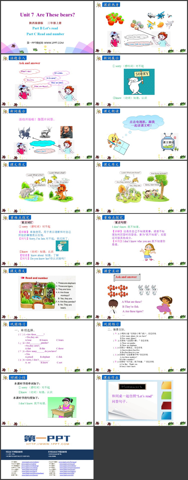 图片[2]-are_these_bears-第一PPT