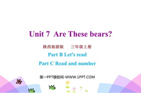 《Are These Bears?》PPT课件(第4课时)-第一PPT