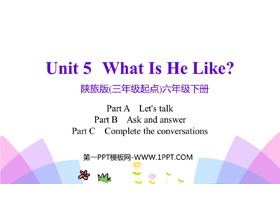 《What Is He Like?》PPT教学课件(第2课时)-第一PPT