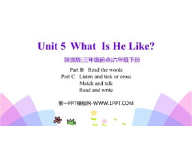 《What Is He Like?》PPT教学课件(第4课时)-第一PPT