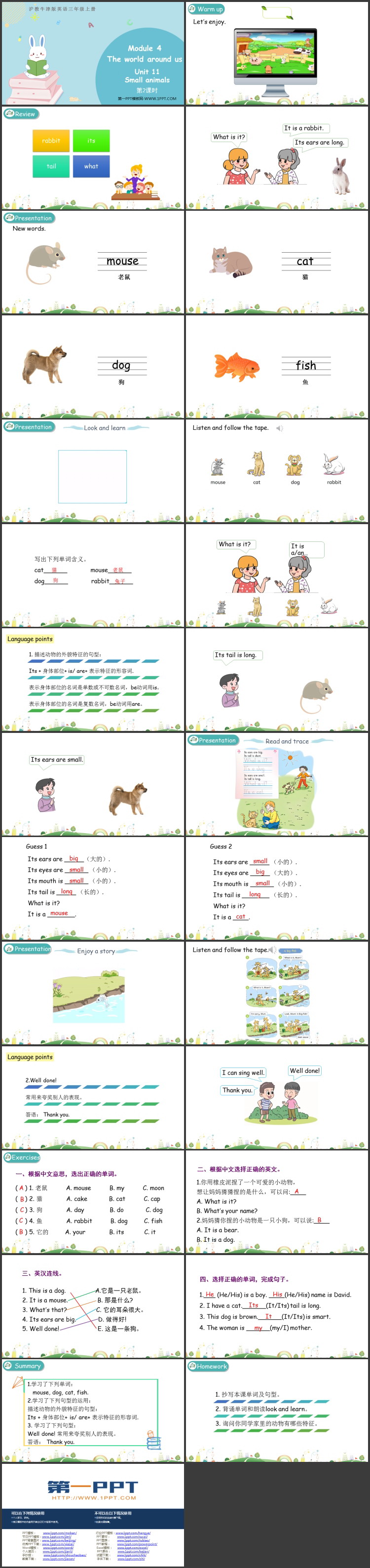 图片[2]-《Small animals》PPT教学课件(第2课时)-第一PPT