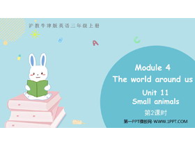 《Small animals》PPT教学课件(第2课时)-第一PPT