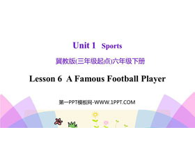 《A Famous Football Player》Sports PPT课件下载-第一PPT