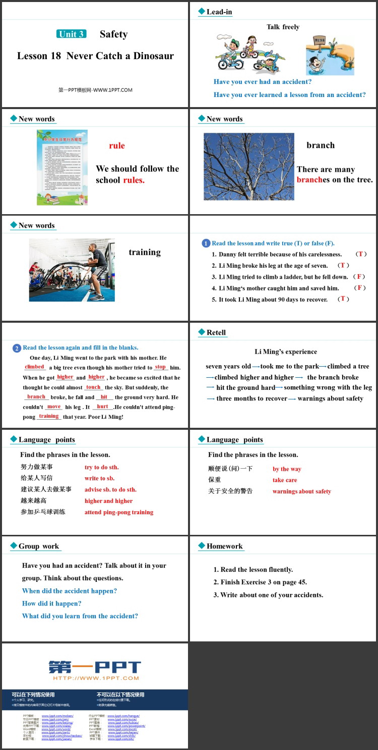 图片[2]-《Never Catch a Dinosaur》Safety PPT精品课件-第一PPT